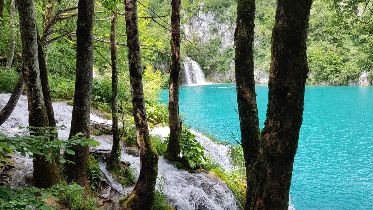 B&B Plitvica Villa Prica Plitvička Jezera Extérieur photo