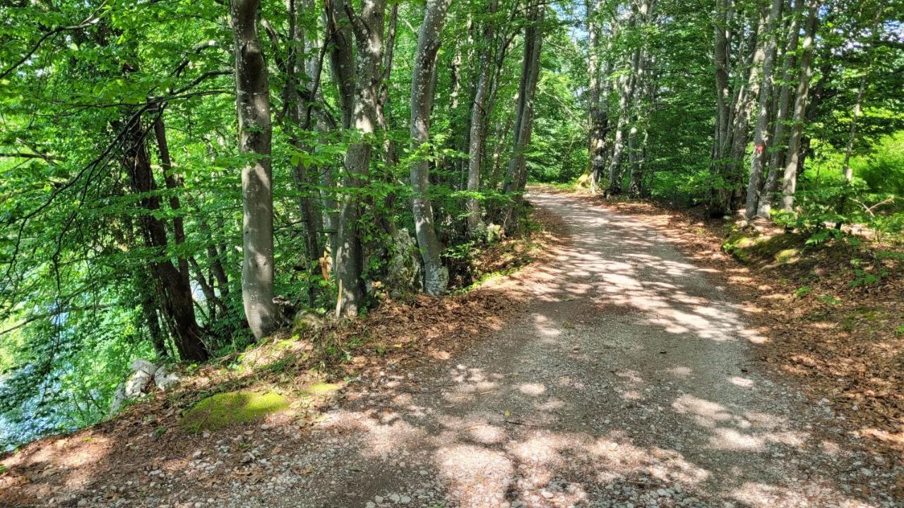 B&B Plitvica Villa Prica Plitvička Jezera Extérieur photo